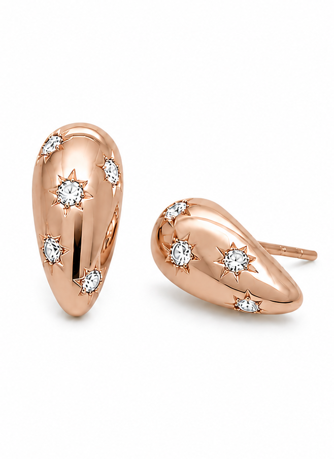 Stellar Earring